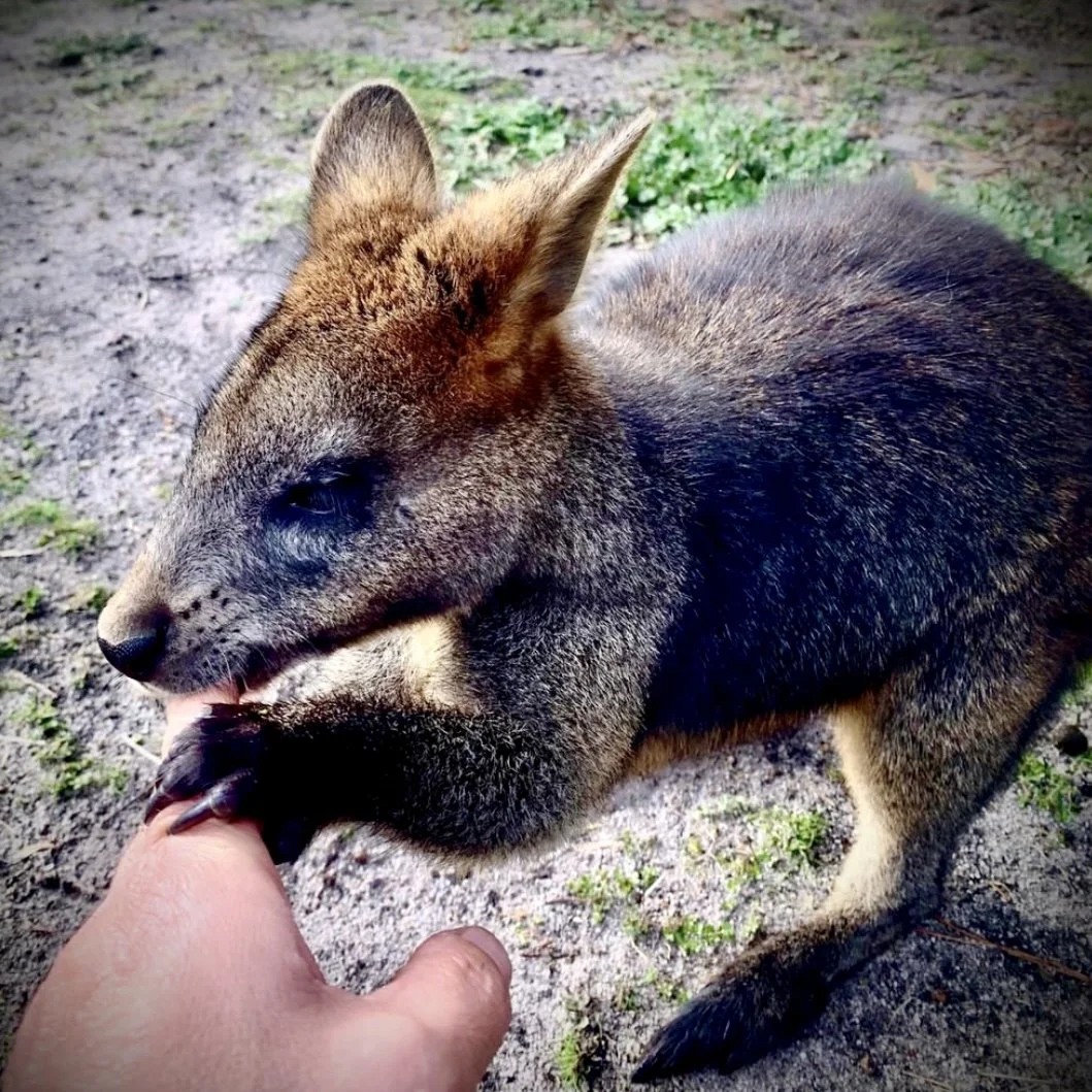 Asking for help is hard