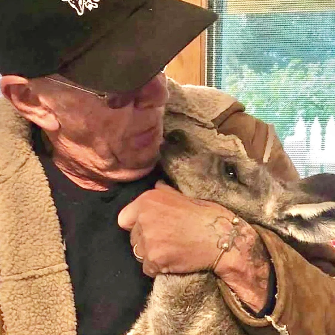 Six days in the life