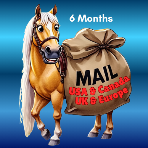 Rest of the World - Mail Club 6 month subscription