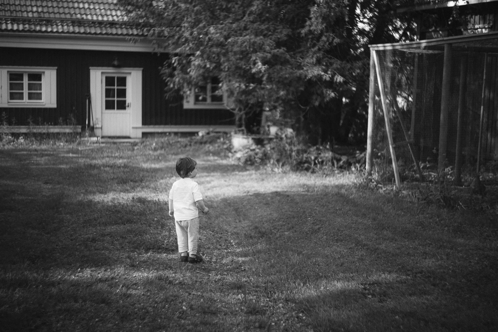 perhekuvaus perheen maatilalla