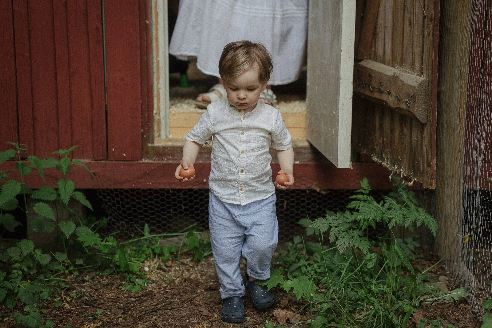 perhekuvaus perheen maatilalla