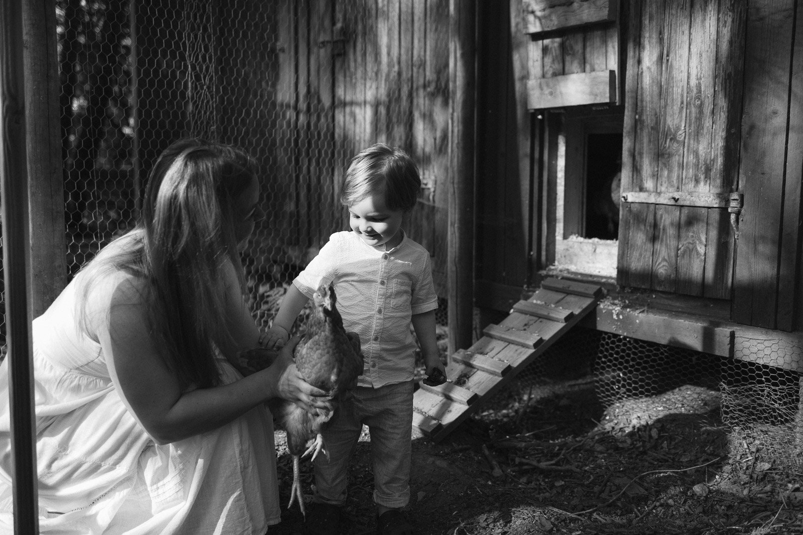 perhekuvaus perheen maatilalla