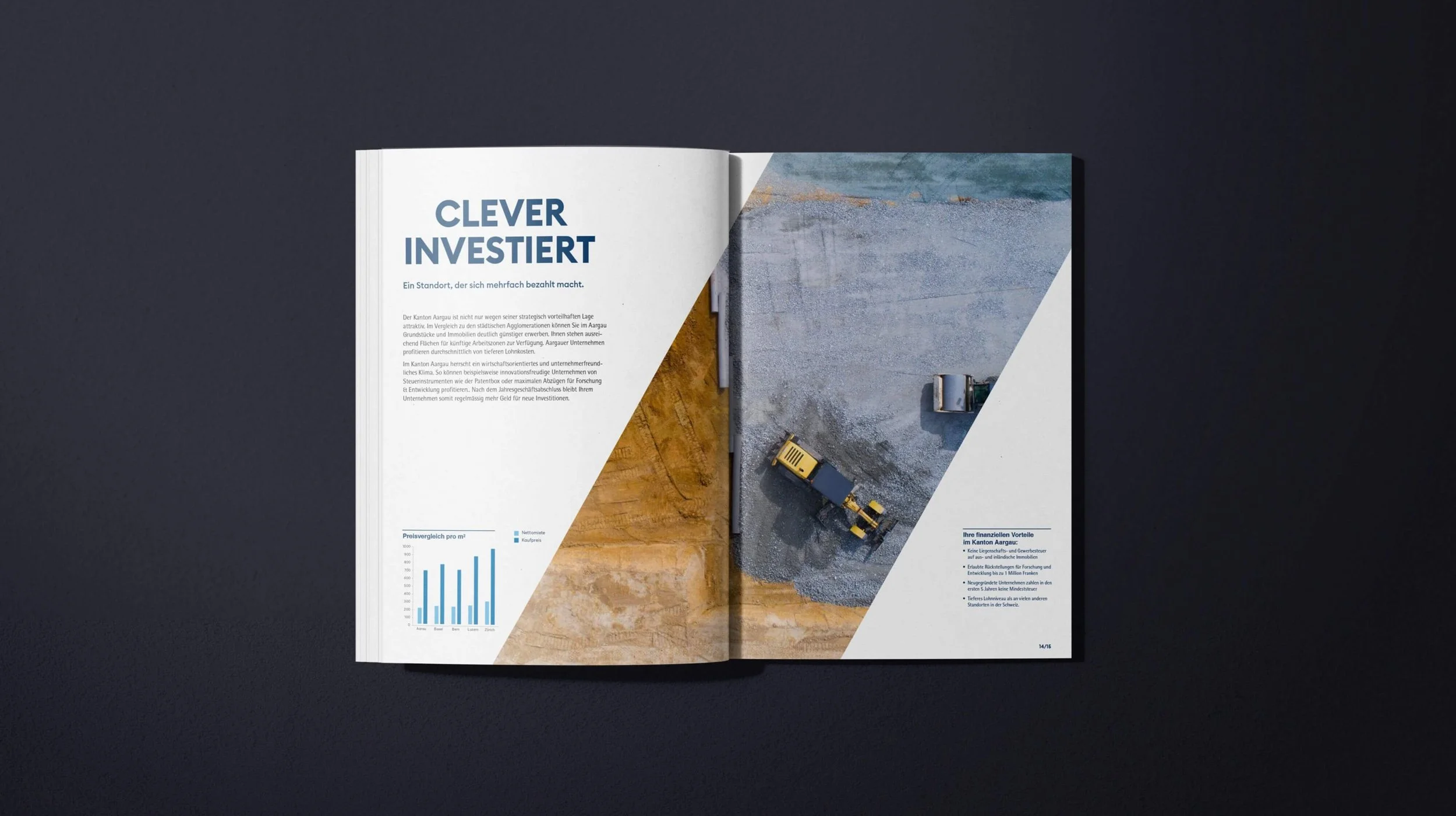 case-dvi-brochure-04.jpg