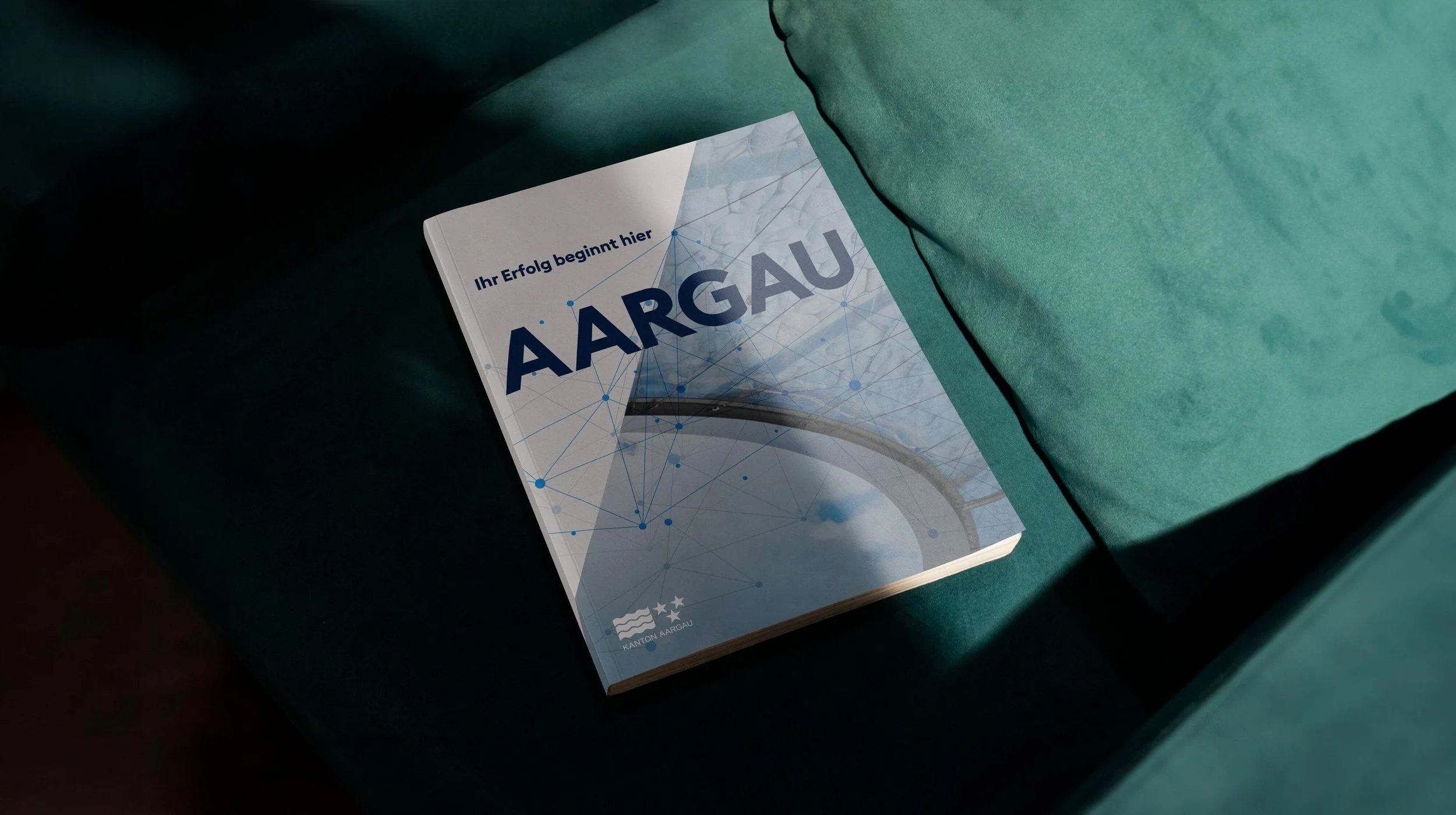 case-dvi-brochure-05.jpg