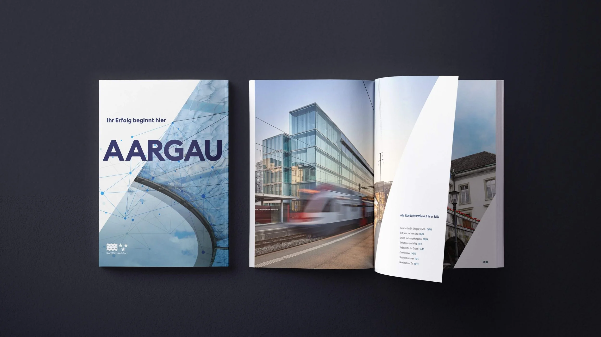 case-dvi-brochure-02.jpg
