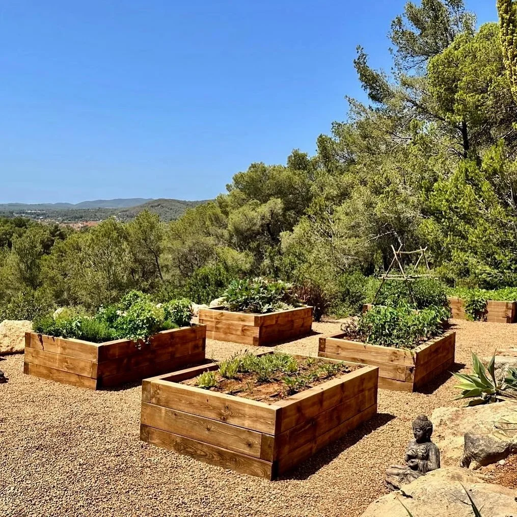 Environmentally conscious and and simply delicious! Who doesn&rsquo;t like to cook with freshly picked vegetables from the garden? 🌱🥒🌶️

#ibizastyle #privatevillas #ibizavillas #rentalproperty #rentalvillaibiza #ibizarentals #ibizavillarental #lux