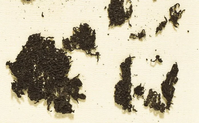 Needlebinding textile fragments from Bolkilde, Jutland (c. 3400 BC), evidence of early plant-fiber craftsmanship and one of the oldest known examples of this ancient textile technique.