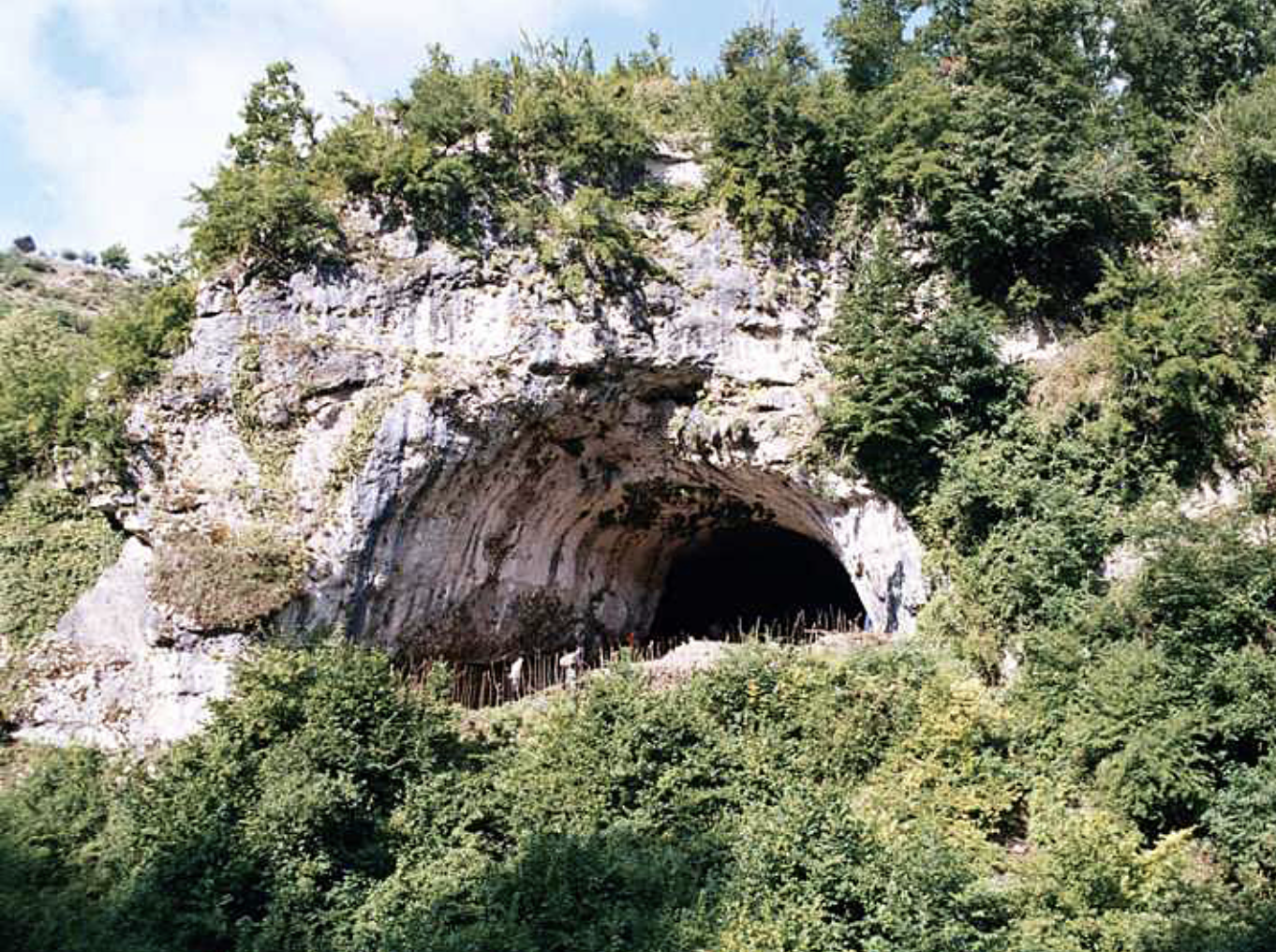 Entrance of the Dzudzuana Cave