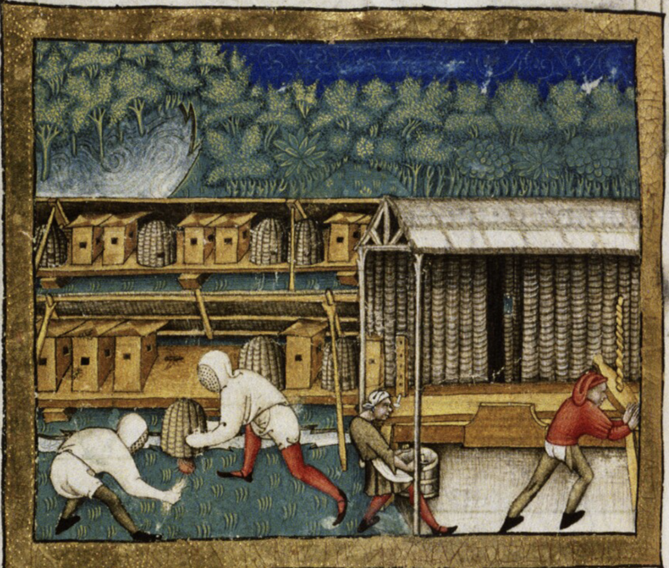 medieval-beekeeping-linen-protective-clothing.jpg