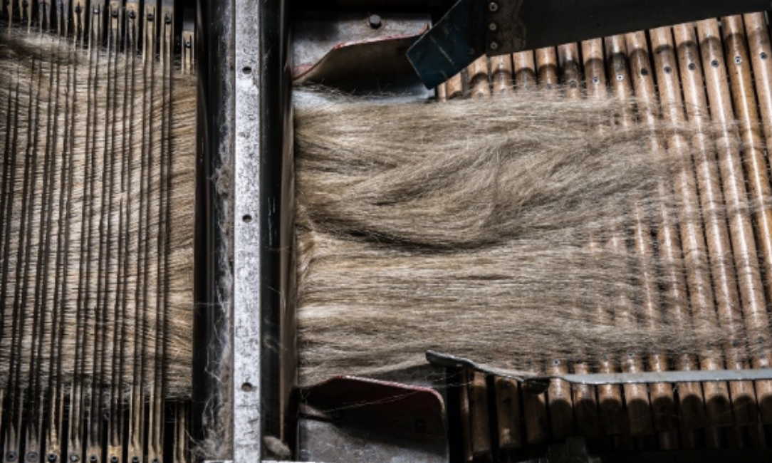Hackling flax — aligning the long fibres
