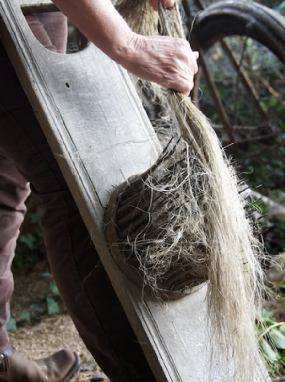 Hand hackling flax fibres