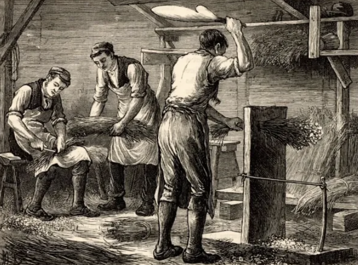 Hand scutching flax fibres