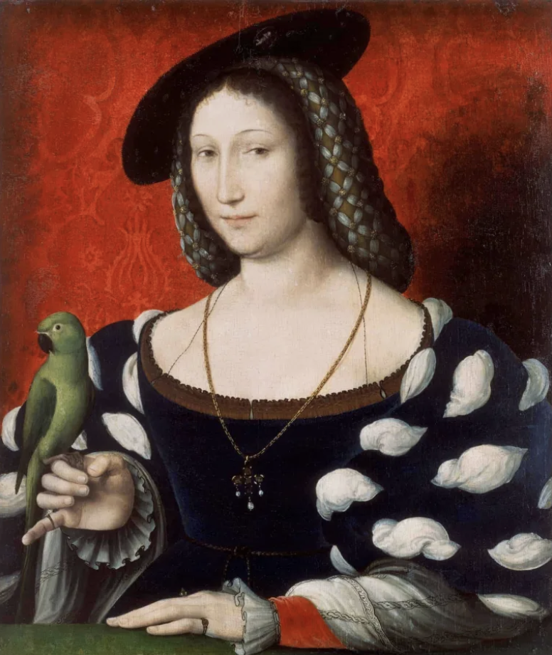 renaissance-creves-fashion-linen-shirt-visible-slashed-sleeves.jpg