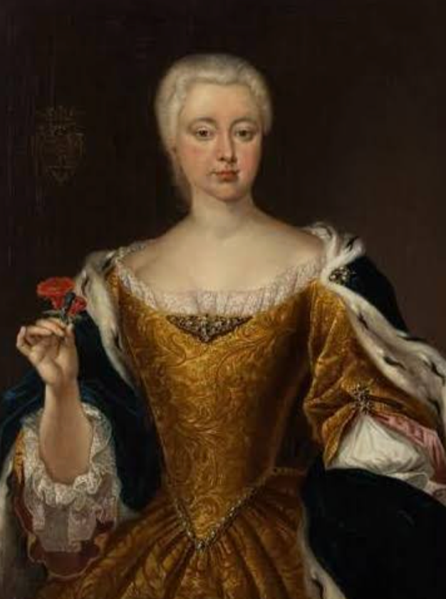 princess-of-thorn-gold-gown-18th-century-portrait.jpg