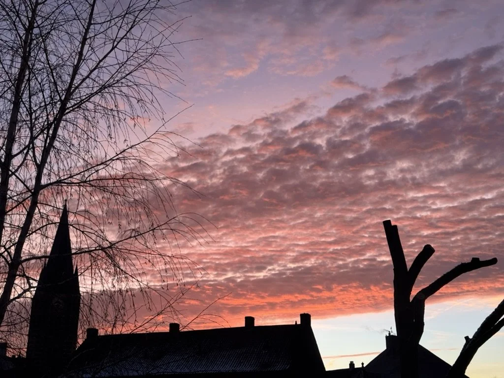 thorn-church-tower-rooftops-pink-sunset.jpg