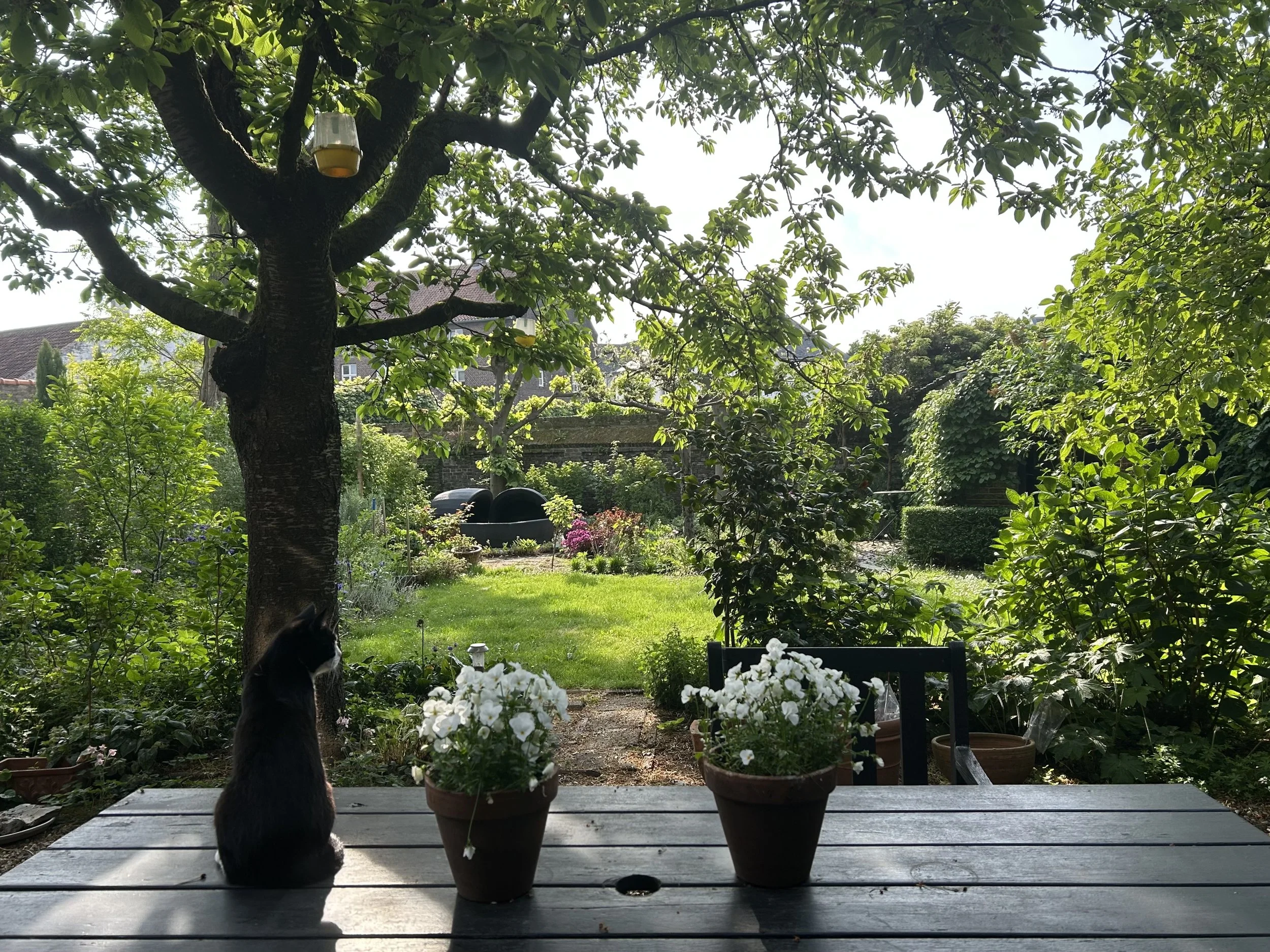 View from the Studio Myr boutique onto the lush garden in Thorn.