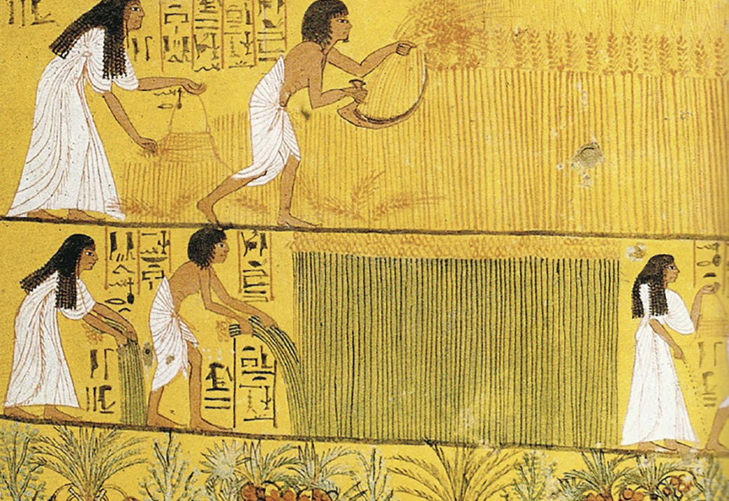 Ancient Egyptian tomb painting showing flax harvesting and linen textile production