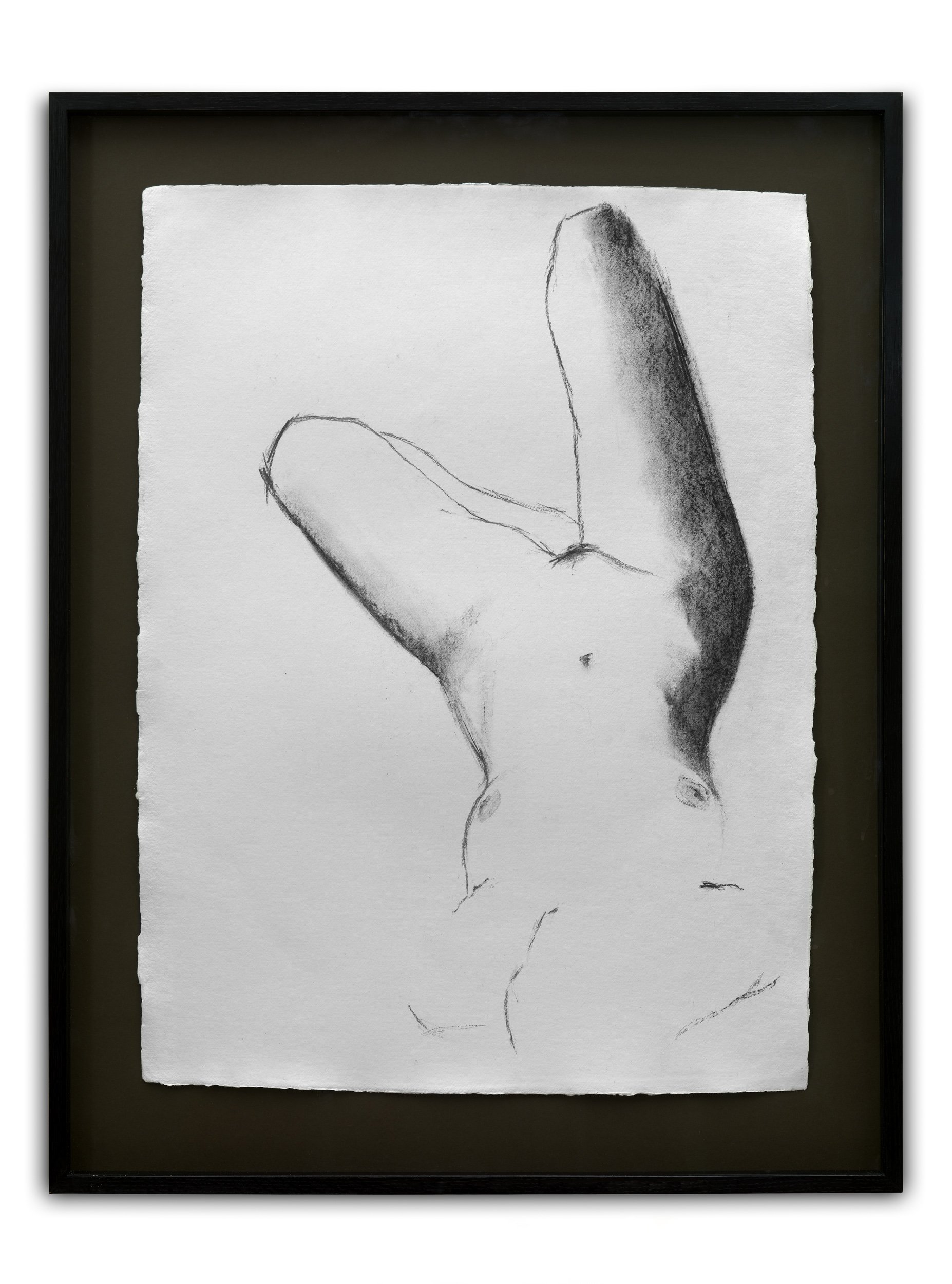 FALLEN, Charcoal on Paper, 56 x 76 cm
