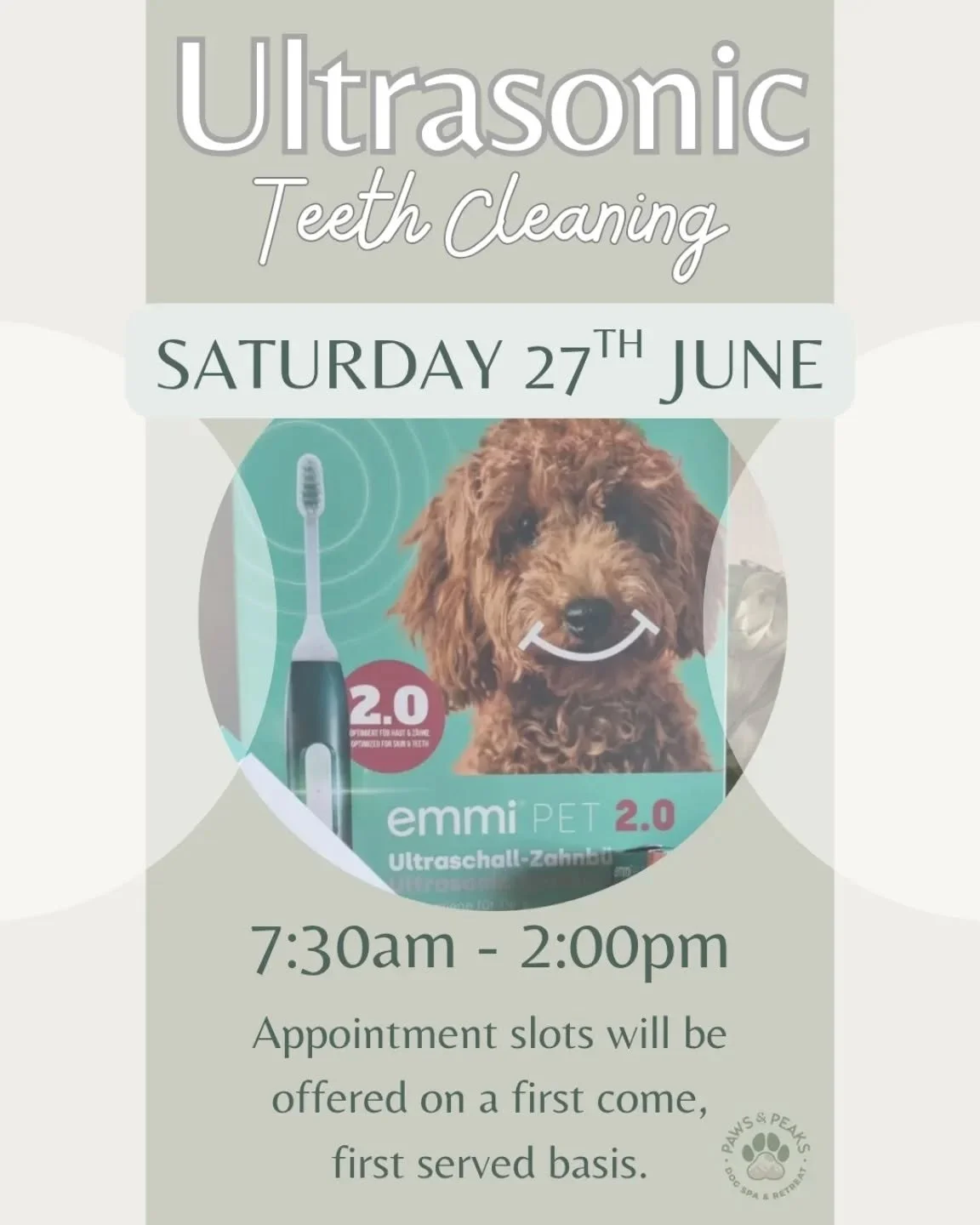 Ultrasonic teeth cleaning appointments 🦷✨️

♡ SATURDAY 27th JUNE ♡

Appointment slots available between 7:30am - 2:00pm.

LIMITED availability will be offered on a first come, first served basis.

Simply send me a message to register your interest, 