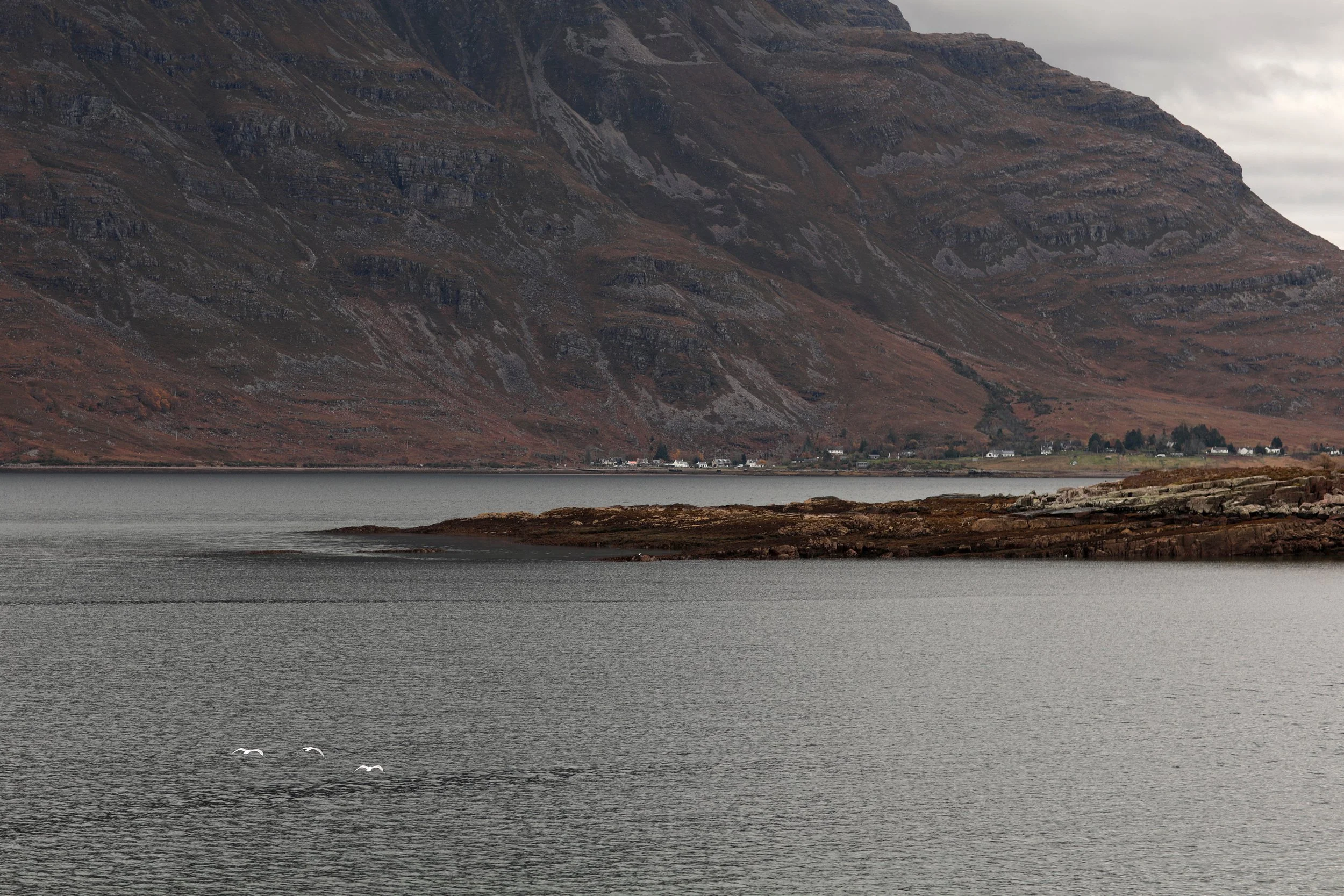 Scotland Autumn__0011_Layer 28.jpg