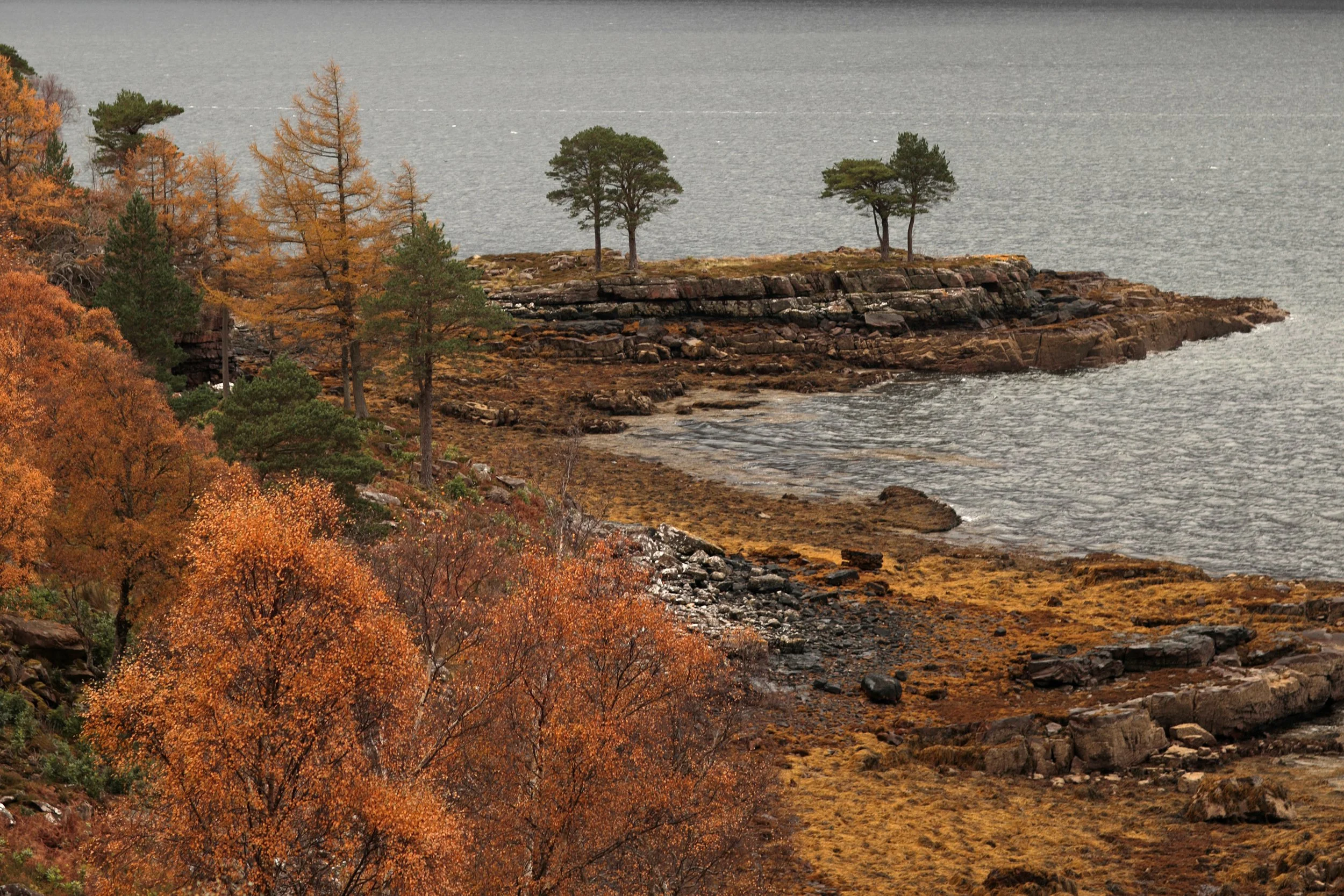 Scotland Autumn__0025_Layer 14.jpg