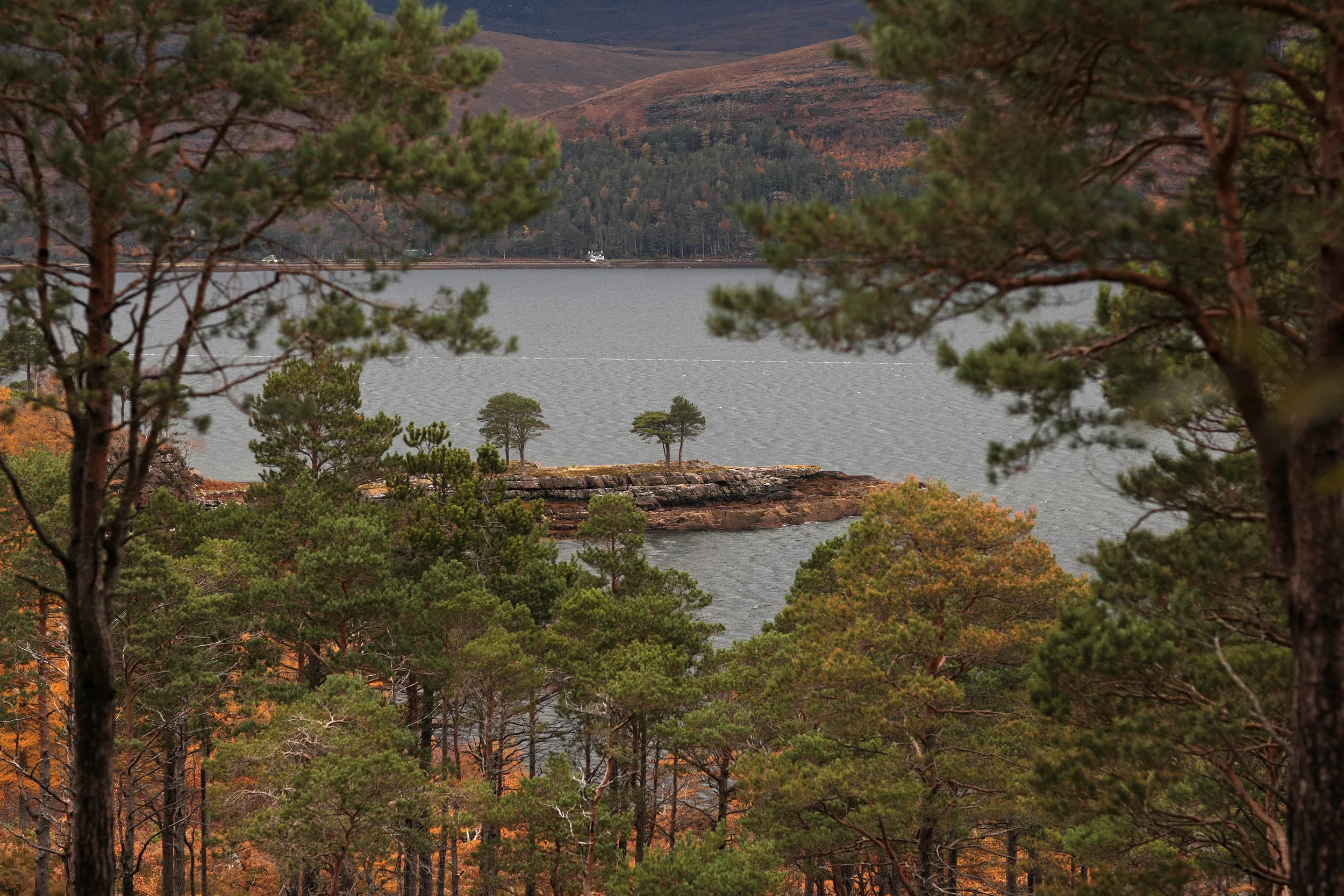 Scotland Autumn__0026_Layer 13.jpg