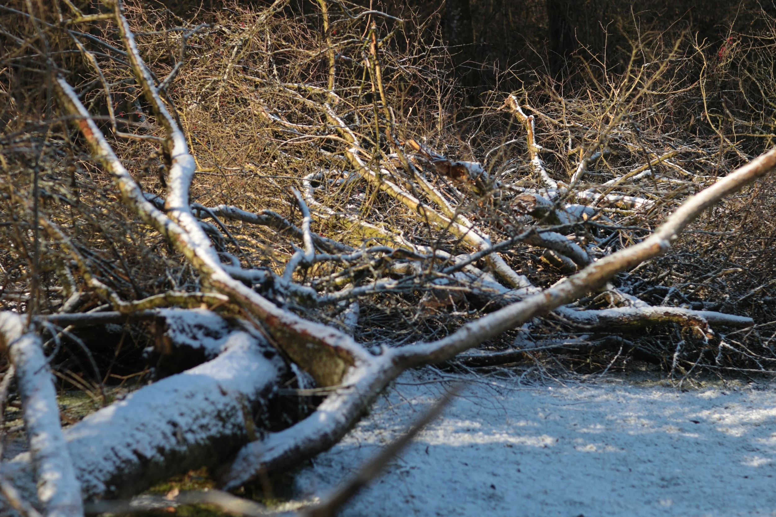 Defender Country__0015_Layer 2.jpg