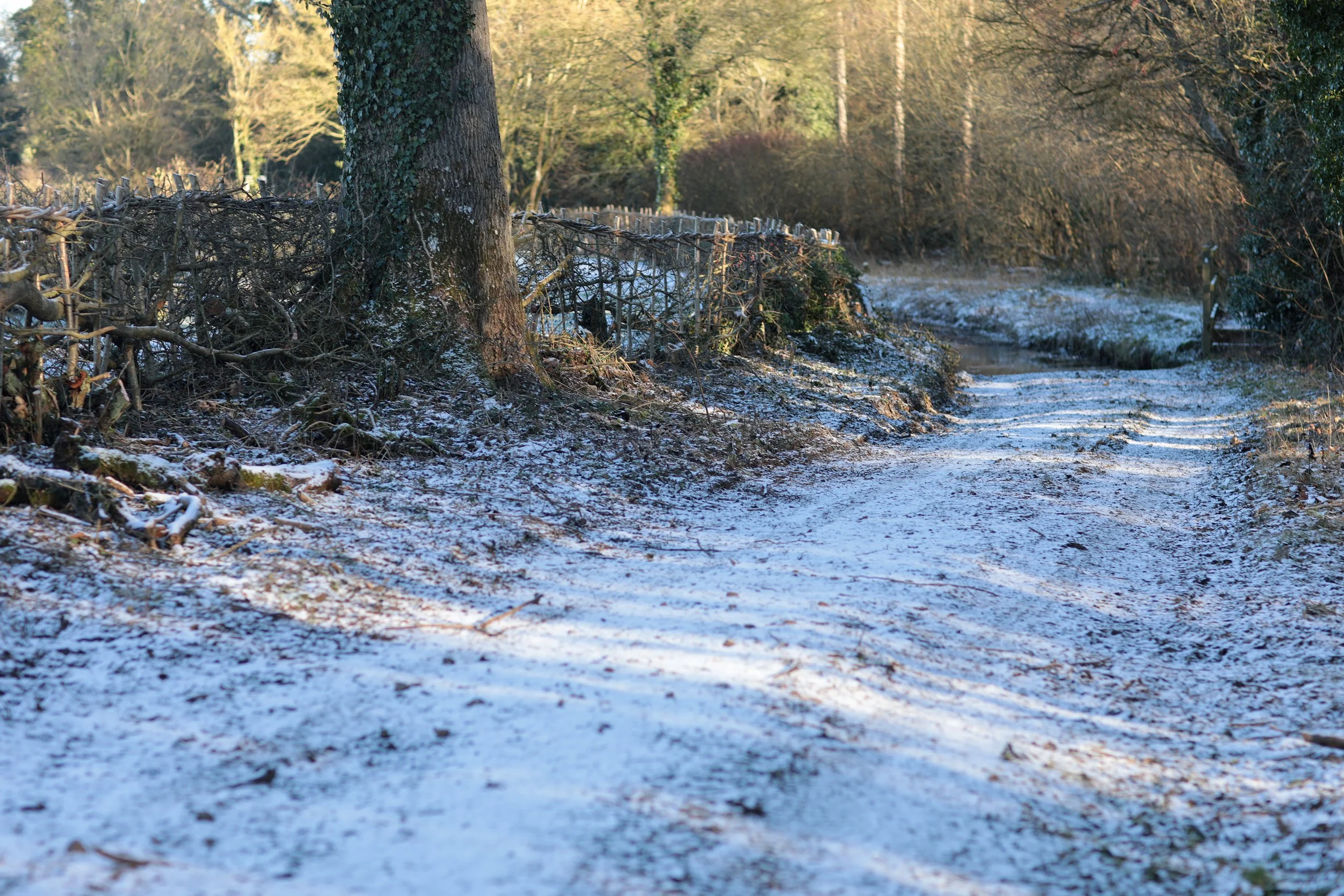 Defender Country__0012_Layer 5.jpg