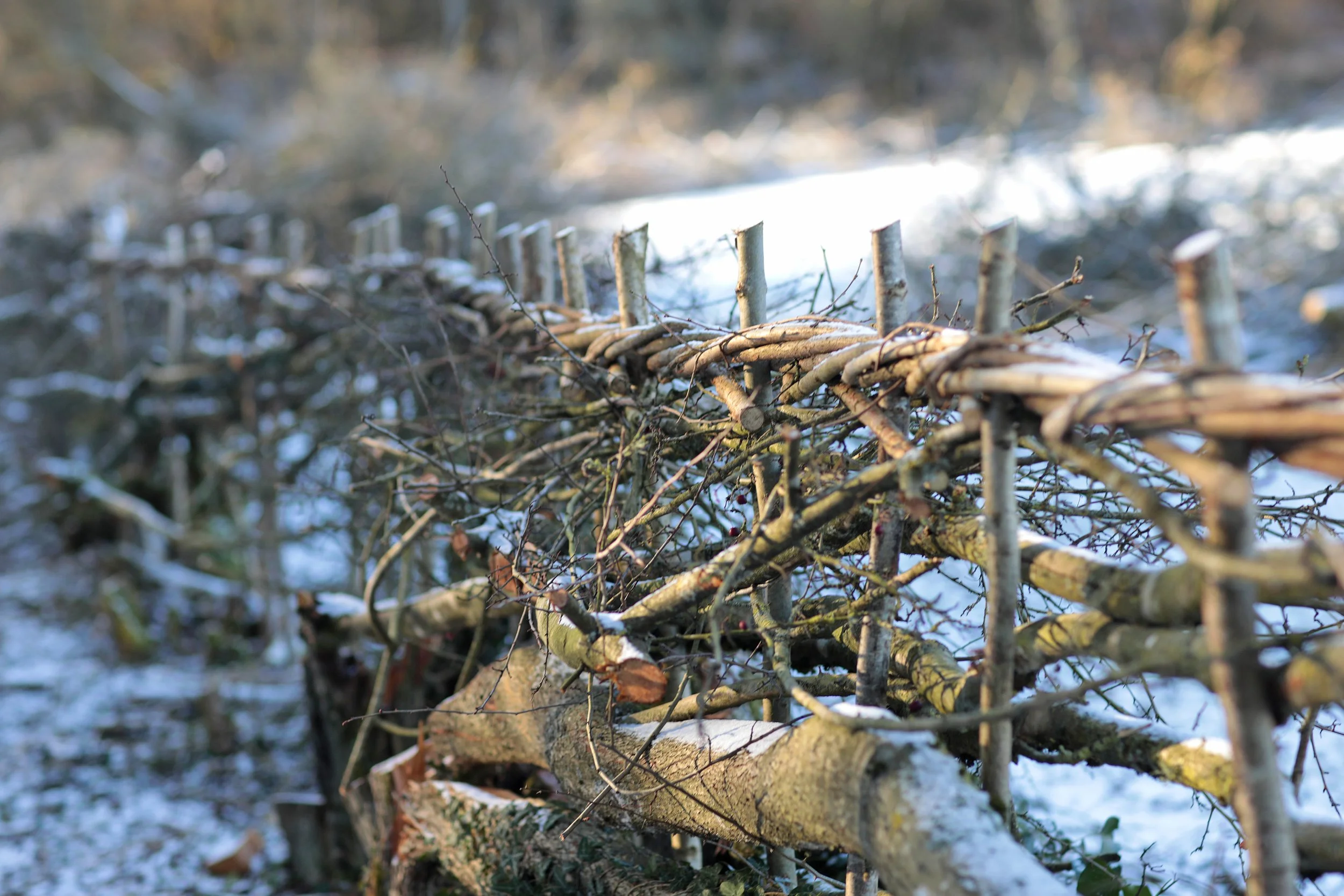 Defender Country__0008_Layer 9.jpg