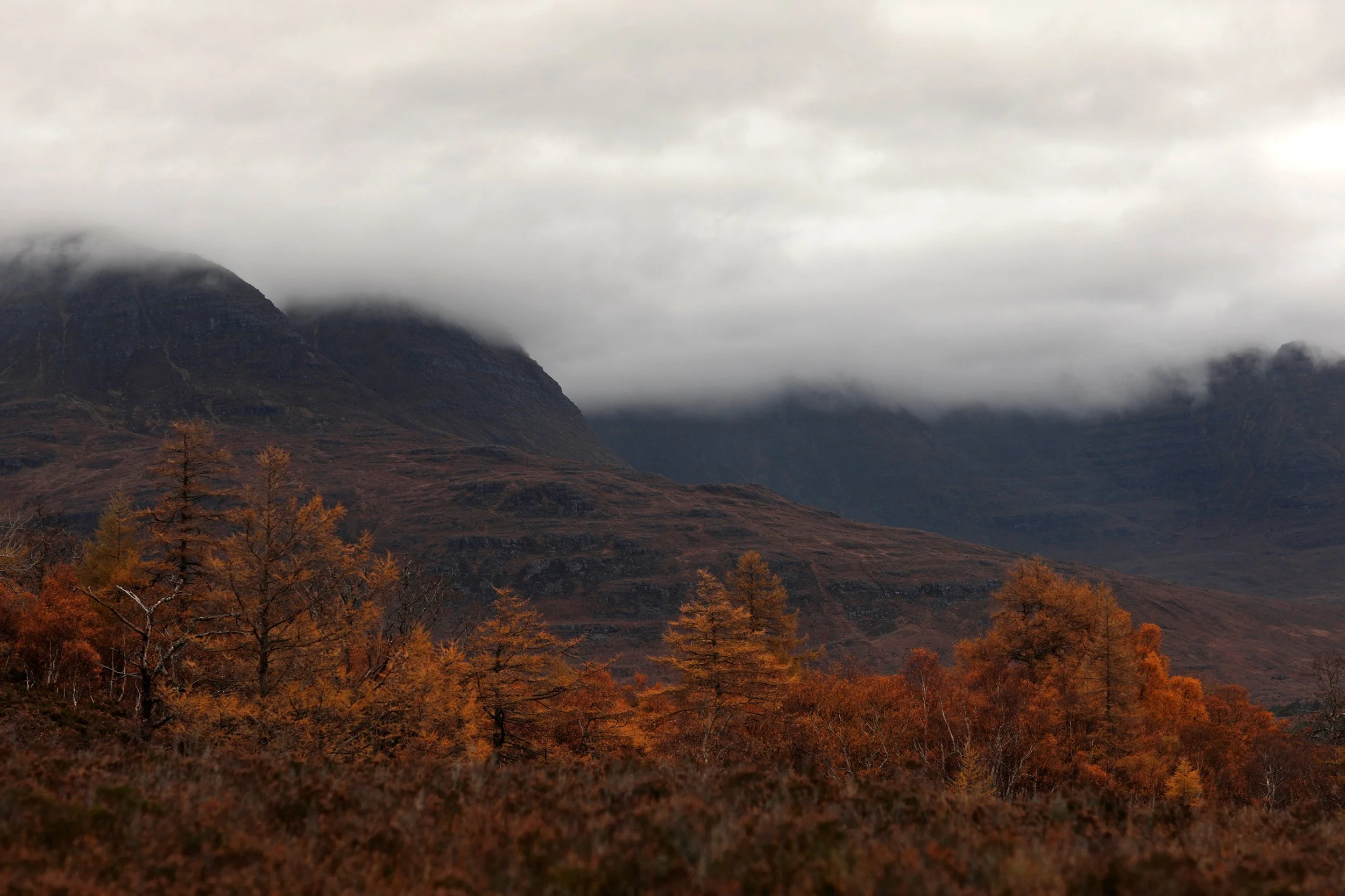 Scotland Autumn__0016_Layer 23.jpg