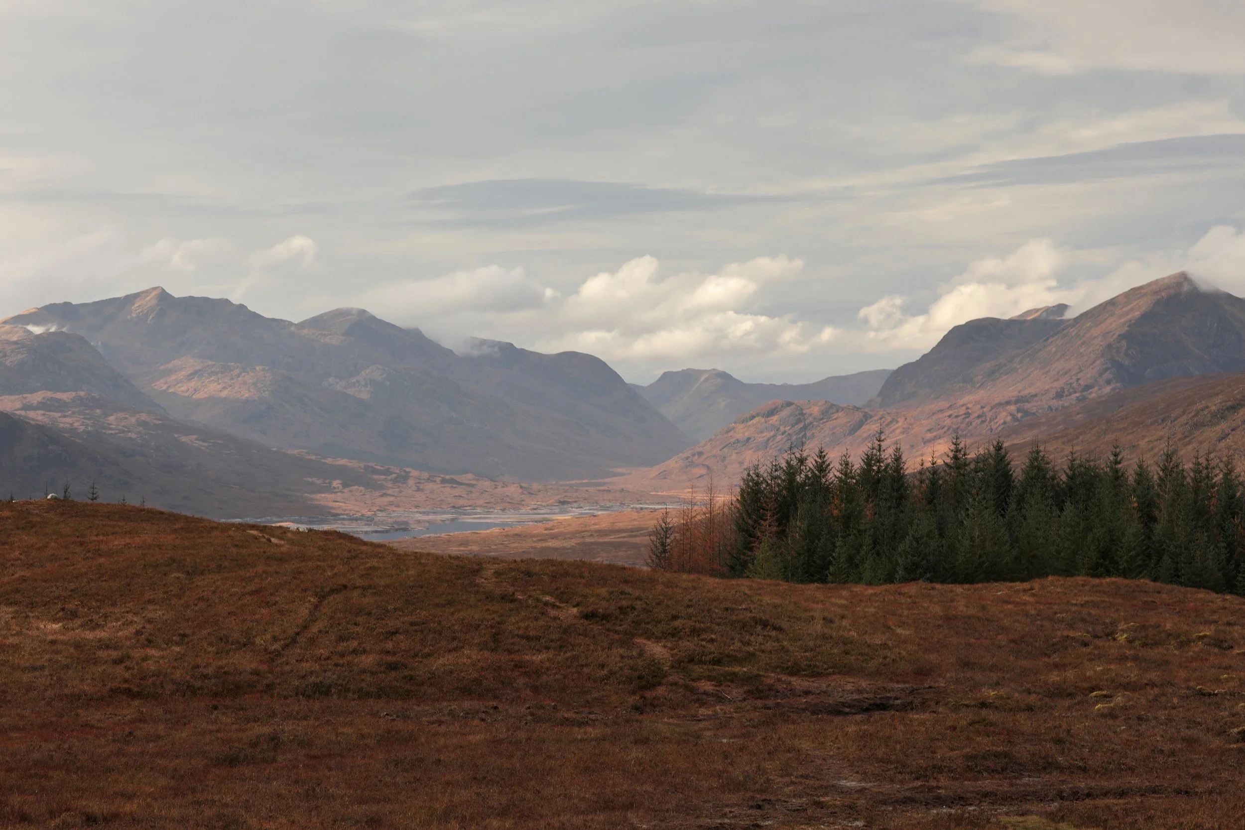 Scotland Autumn__0002_Layer 37.jpg