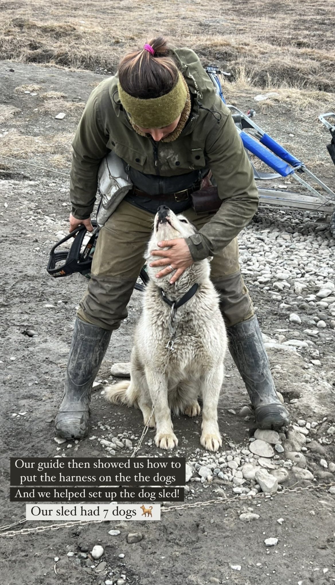 Greendogs Sledding, Svalbard