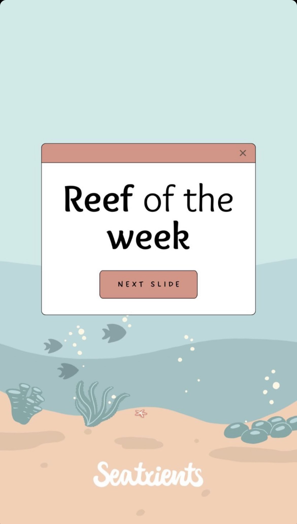 Reef of the Week, Seatrients