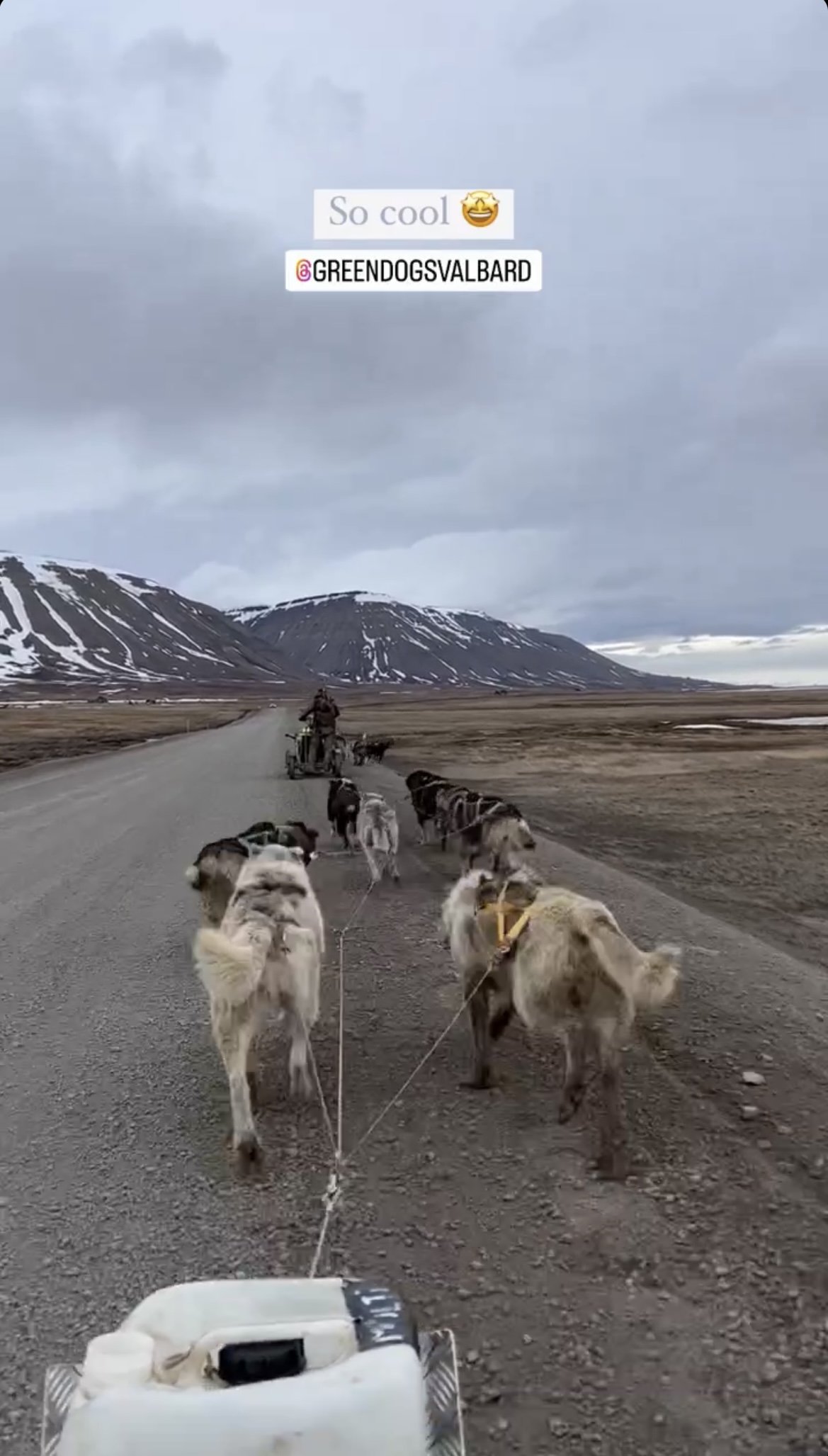 Greendogs Sledding, Svalbard