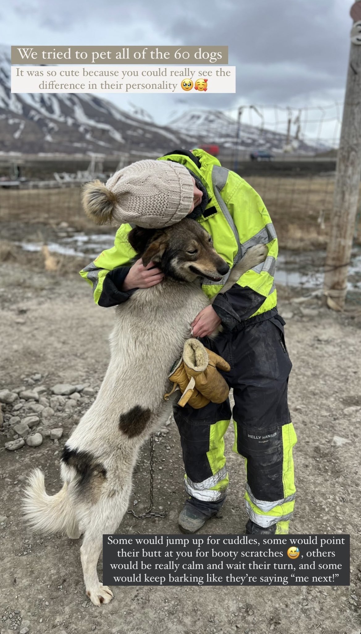 Greendogs Sledding, Svalbard