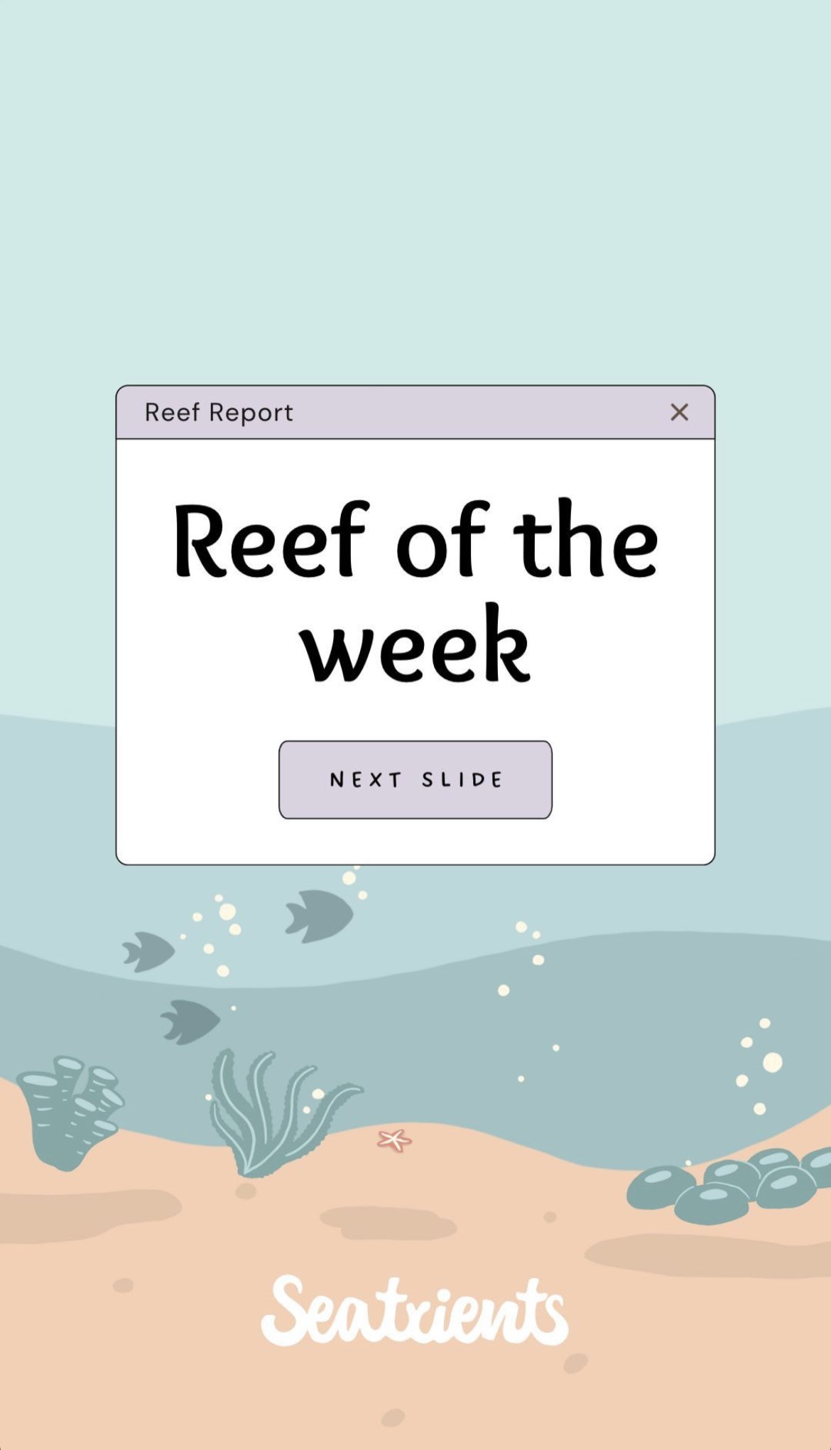 Reef of the Week, Seatrients