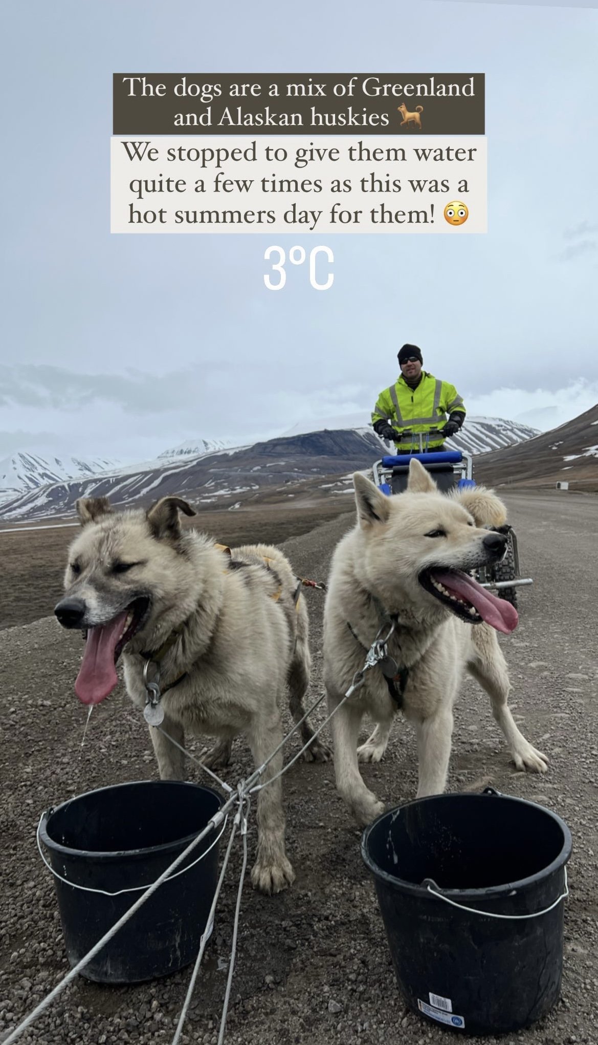 Greendogs Sledding, Svalbard