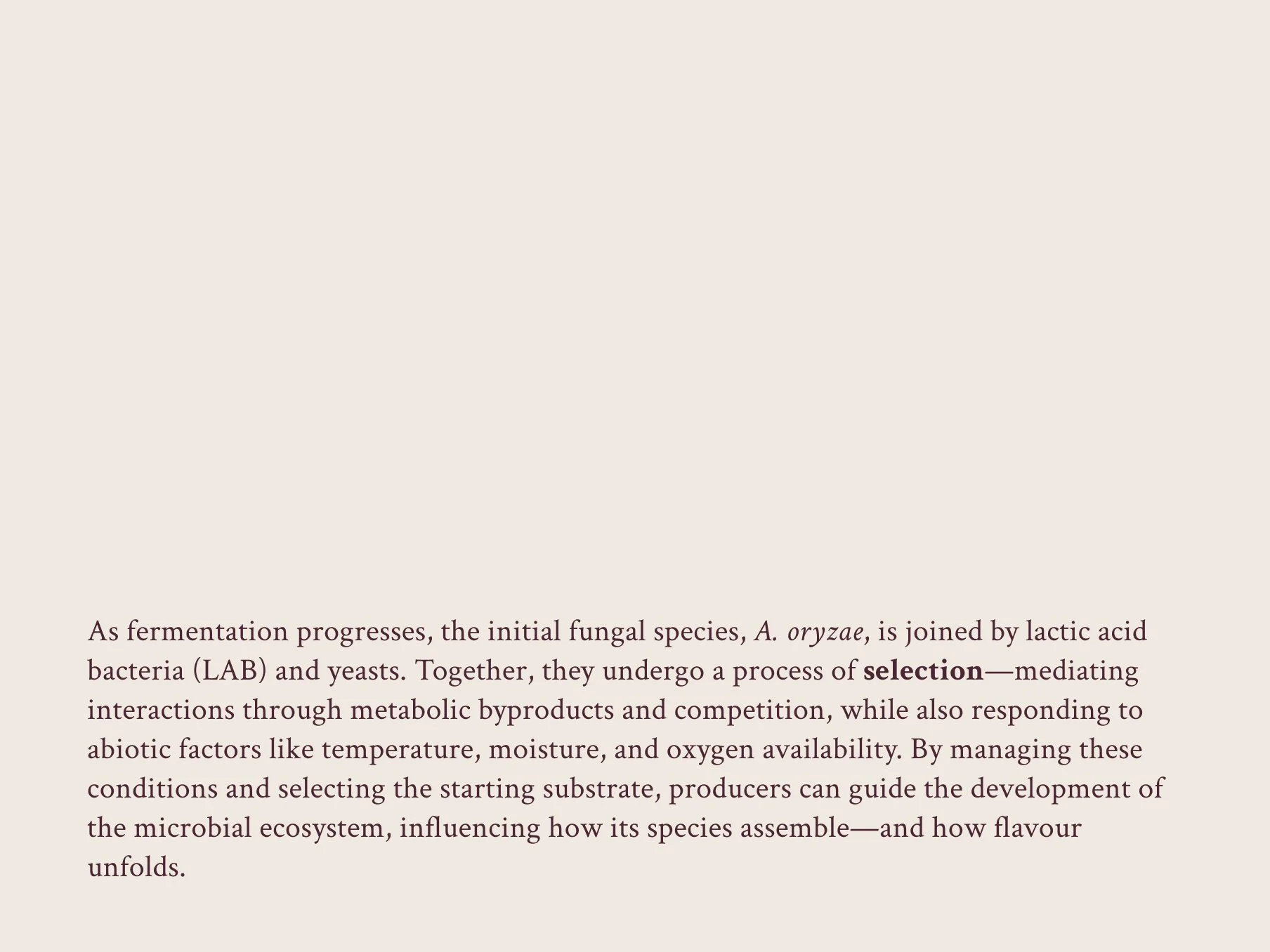 The science behind novel fermentations_ 9.jpg