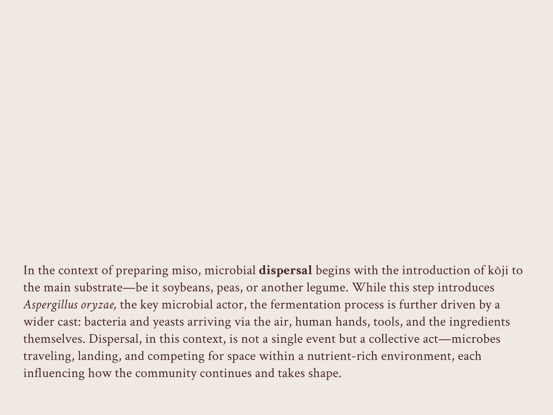 The science behind novel fermentations_ 7.jpg