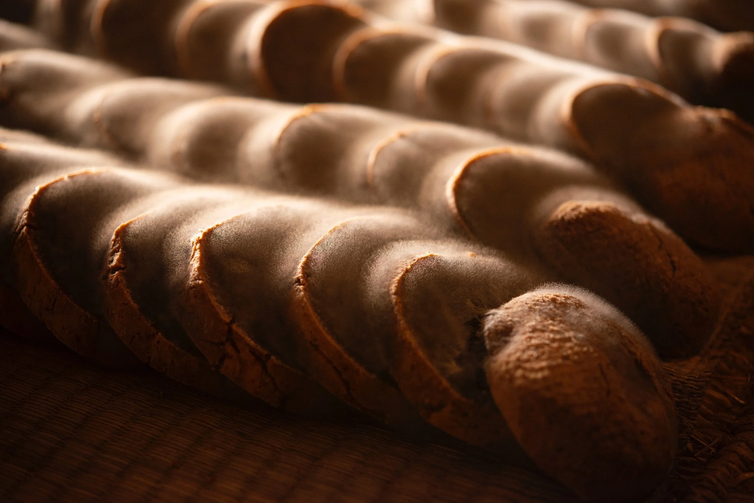 Miso without kōji: nesashi miso ecology driven by spontaneous fermentation with Mucor plumbeus