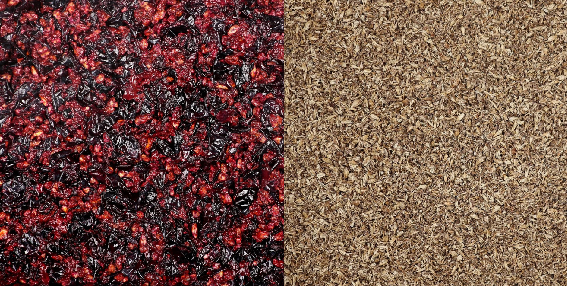 Beer &amp; wine by-products