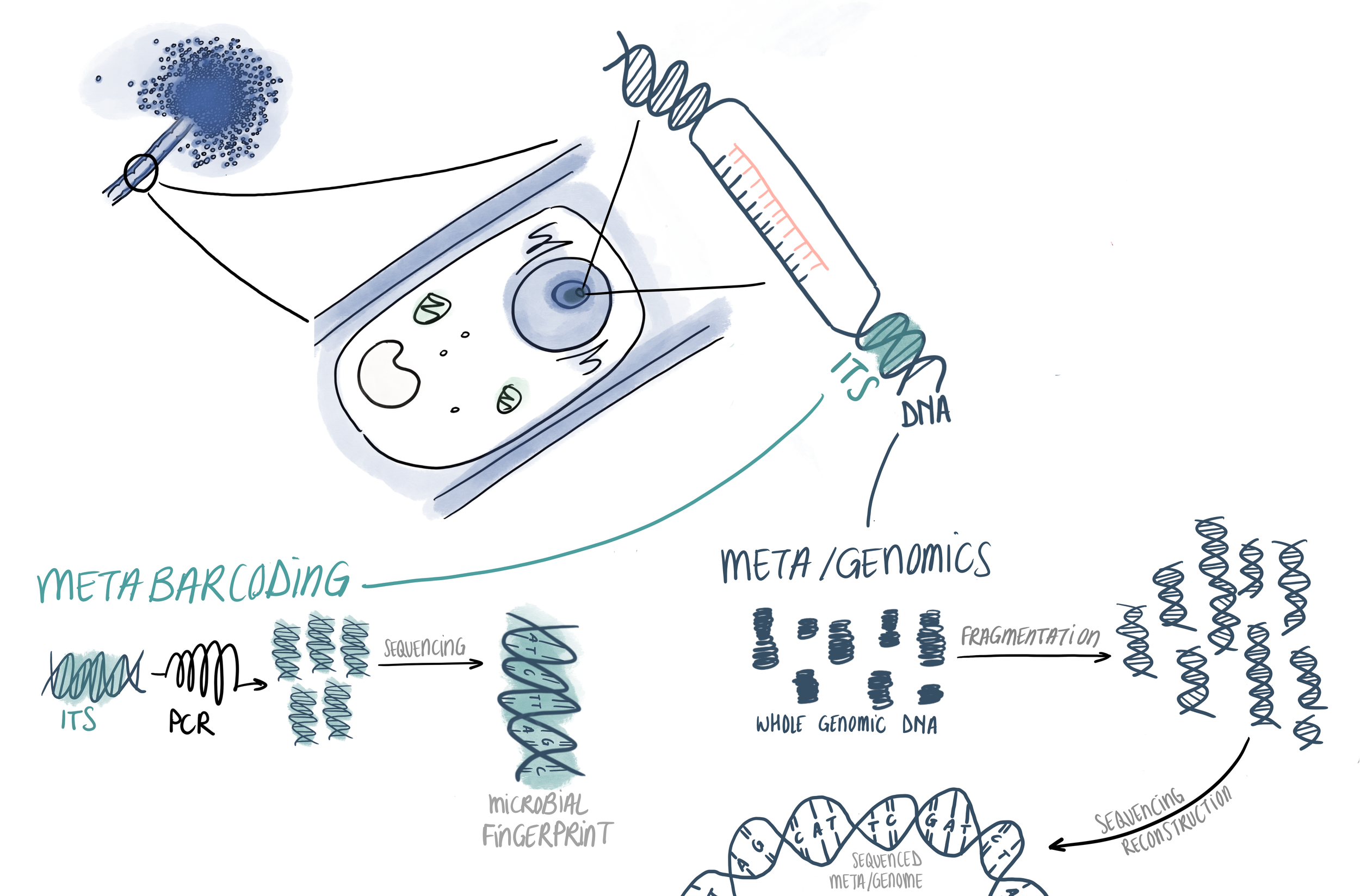 Sfig Scientific methods — SFIG