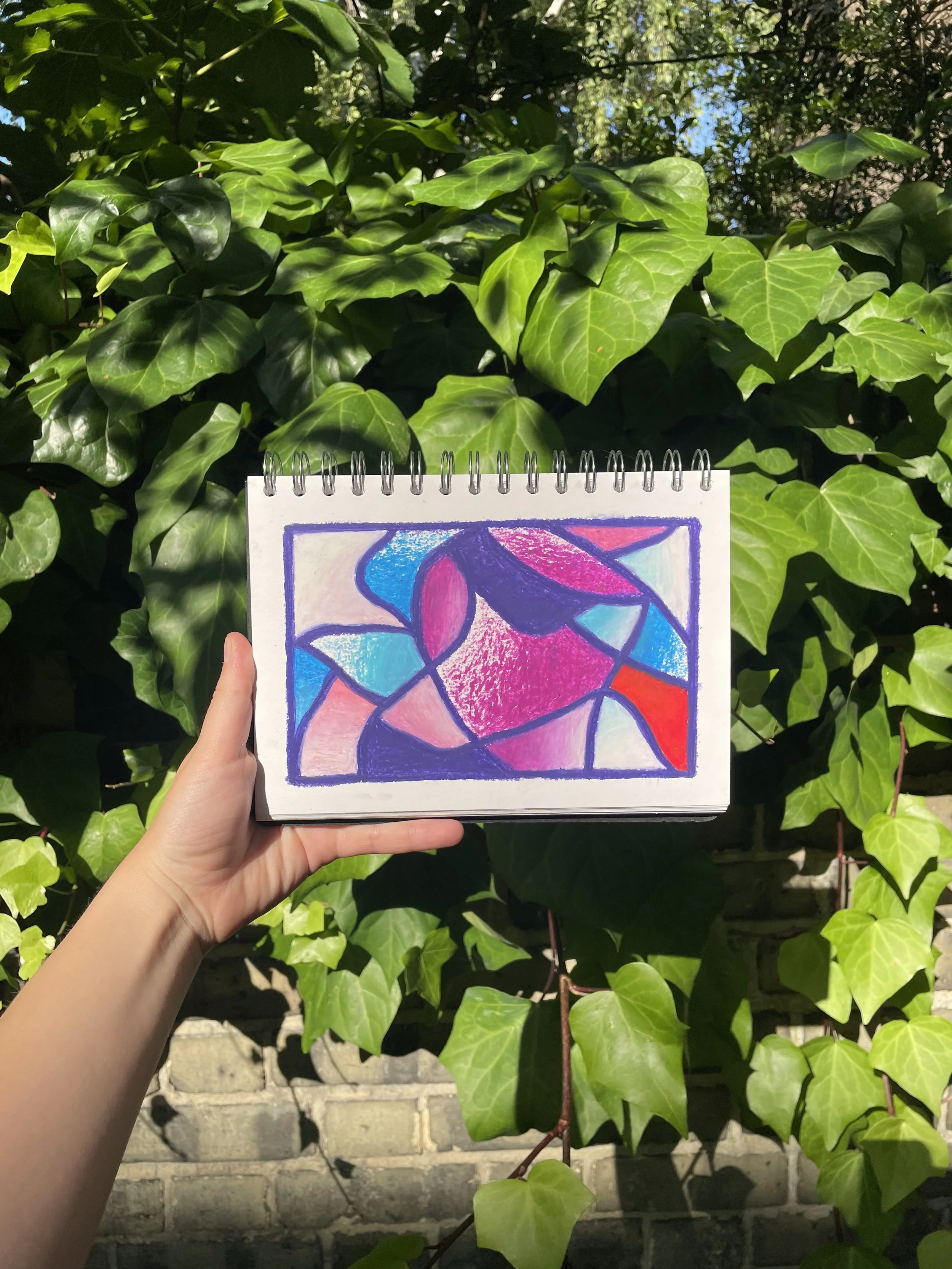 20250711 - FUSCHIA.jpeg