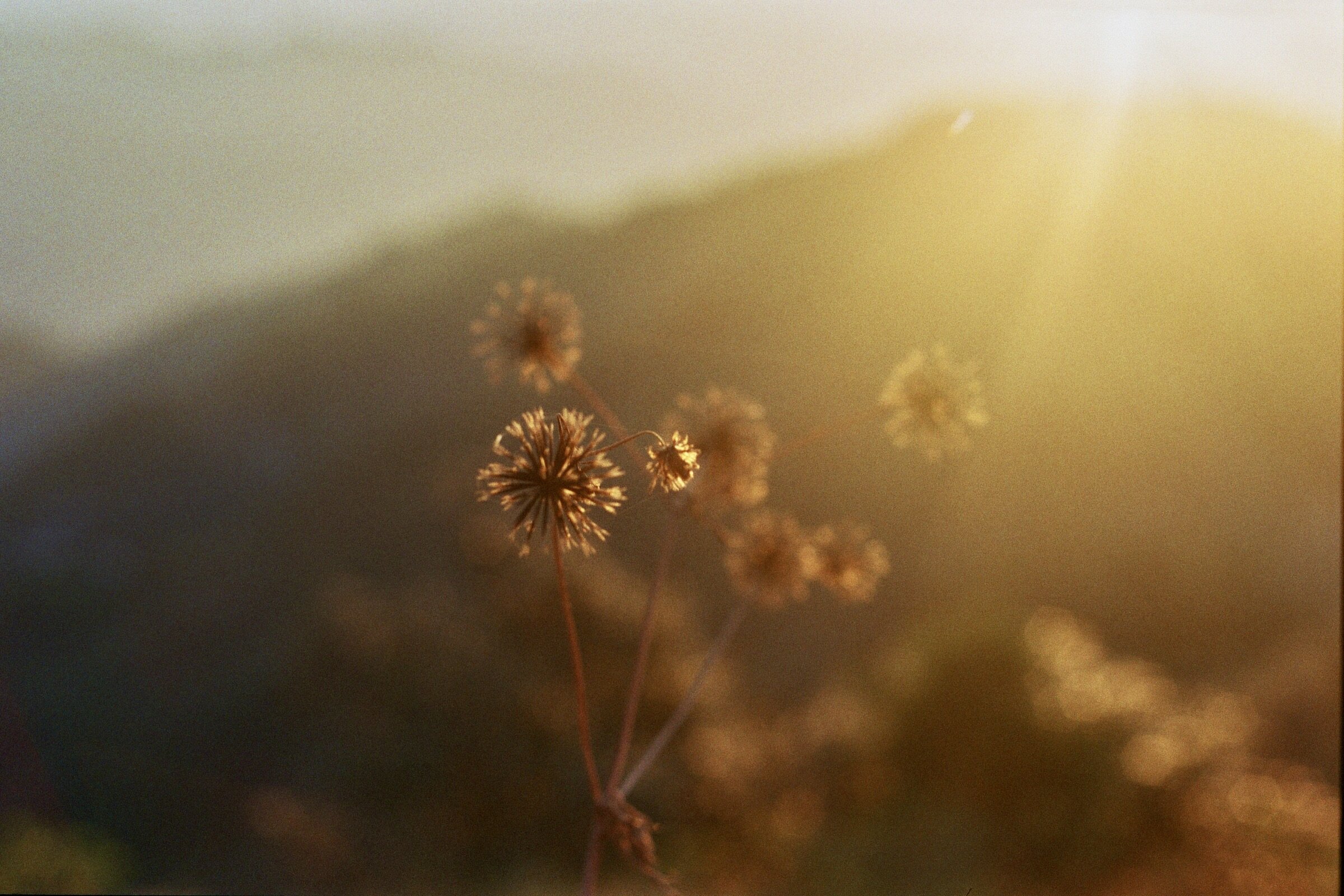 _16_01147.jpeg