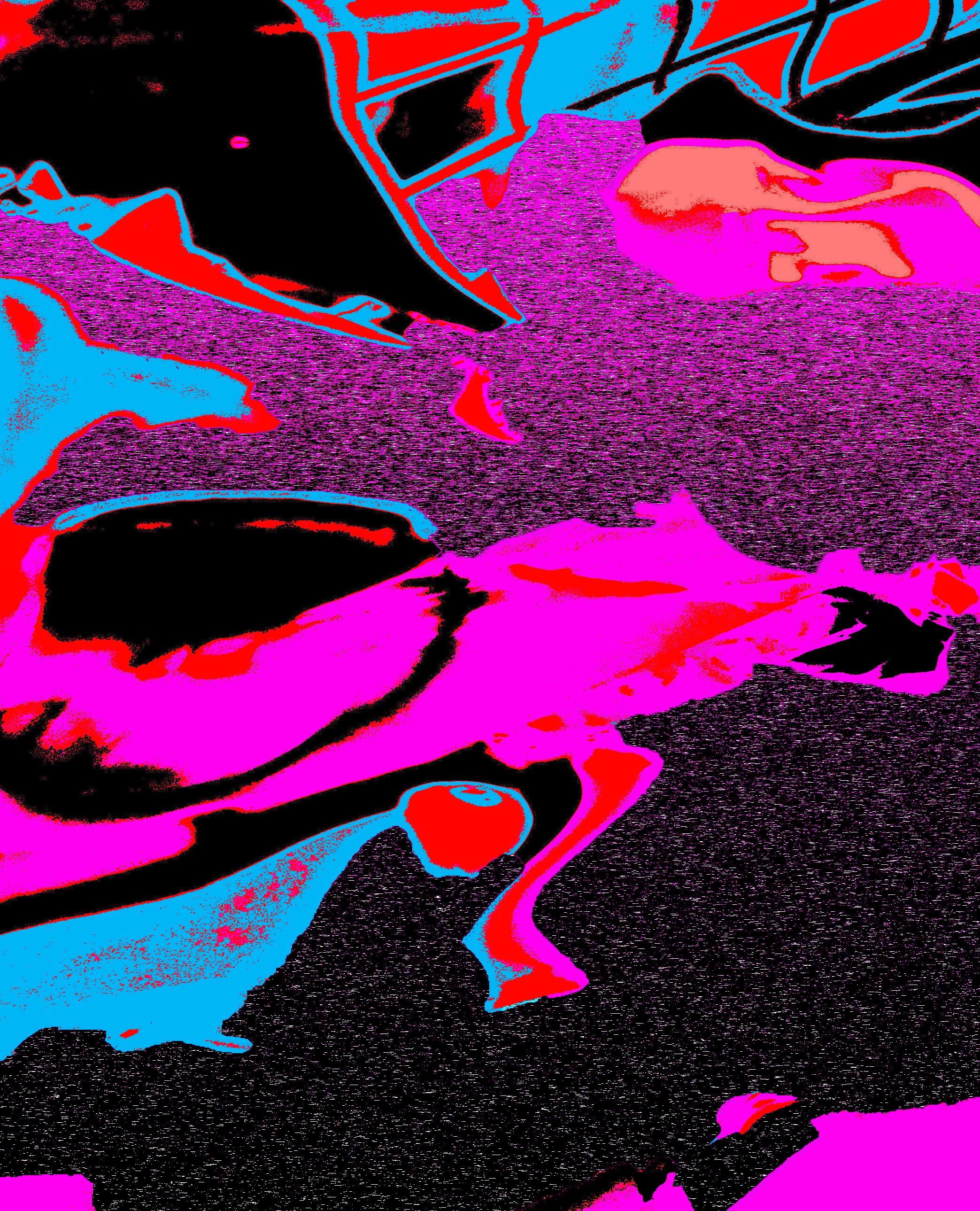 gad3_edited-1.jpeg