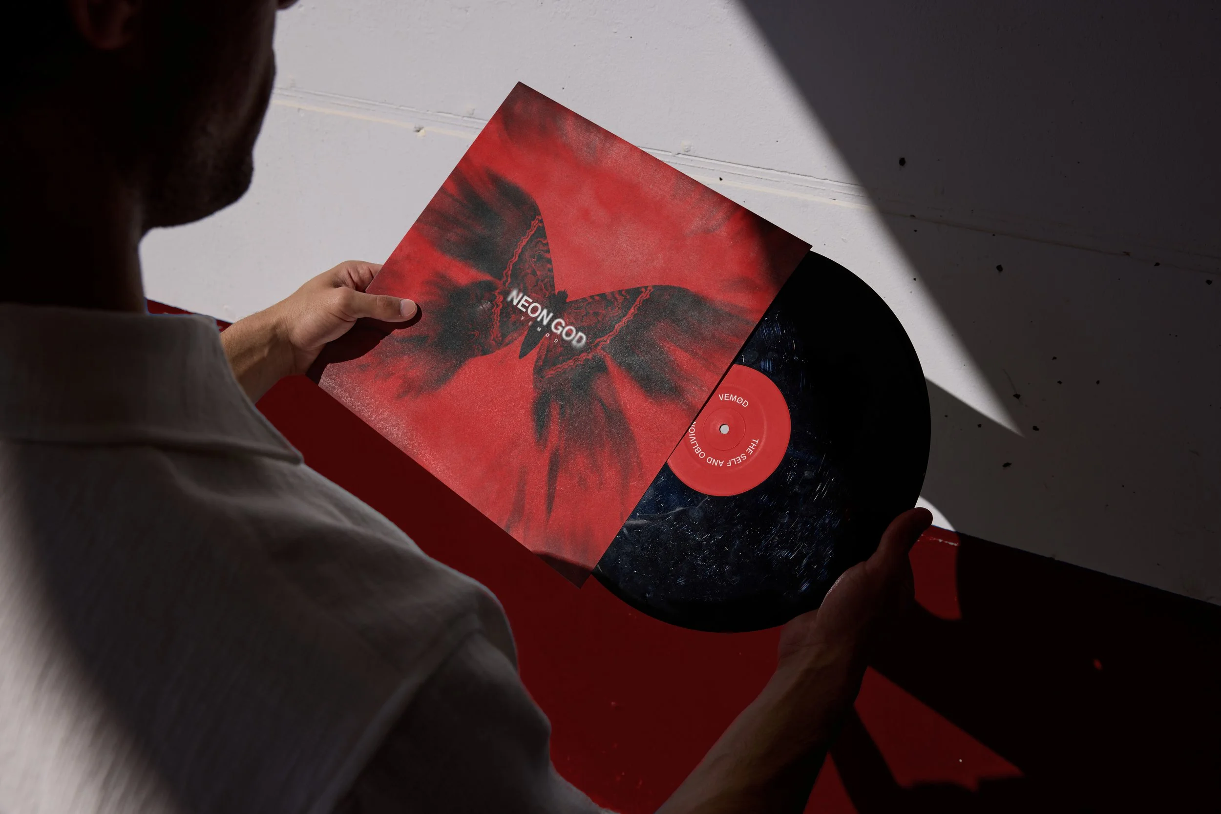 Vinyl_Holding copy.jpg