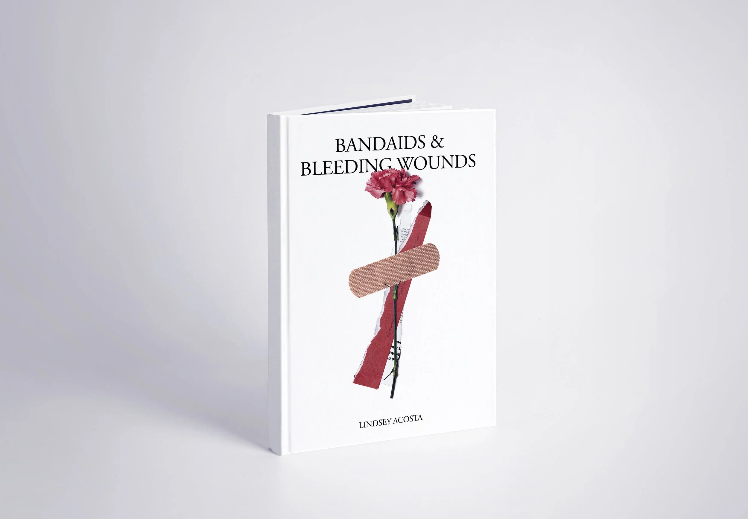 Book Mockup_Final.jpg