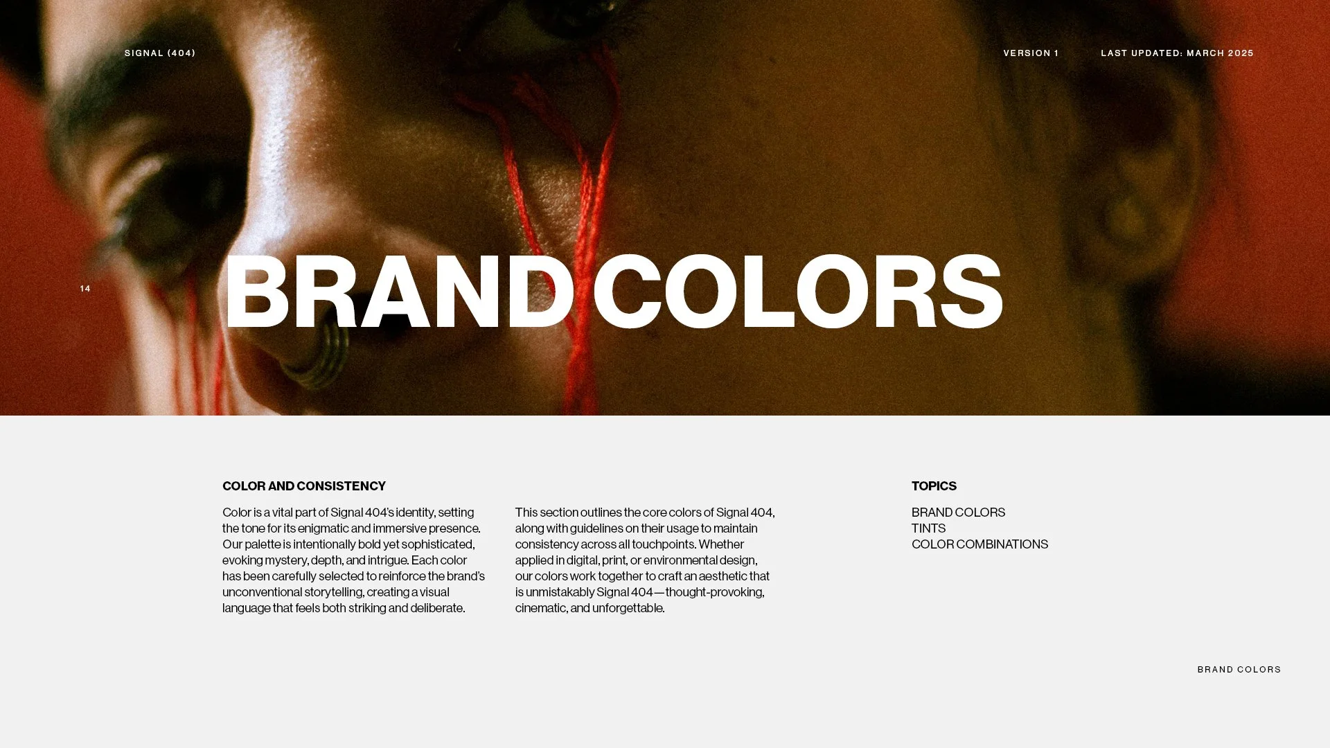 Signal 404 brand guide brand colors introduction slide