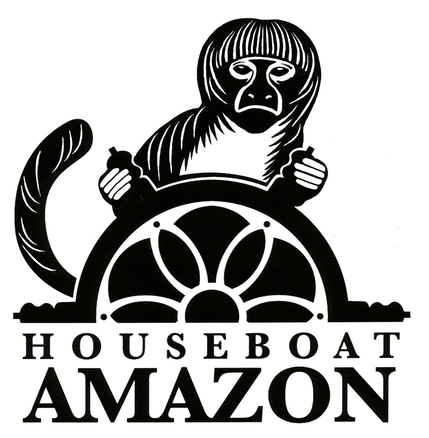 Houseboat Amazon