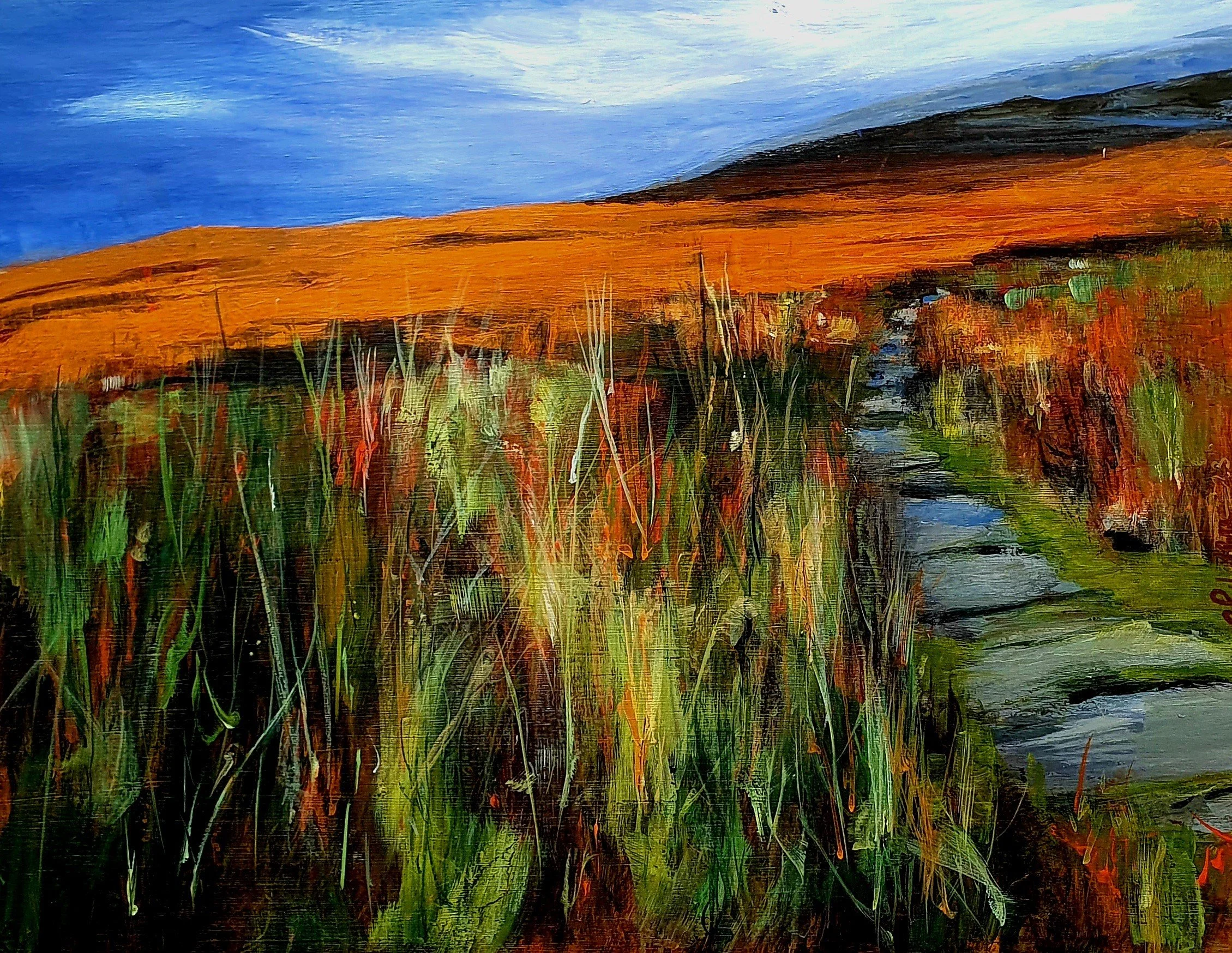 Summer on Ilkley Moor